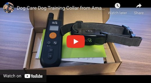 Dog care shop training collar reviews