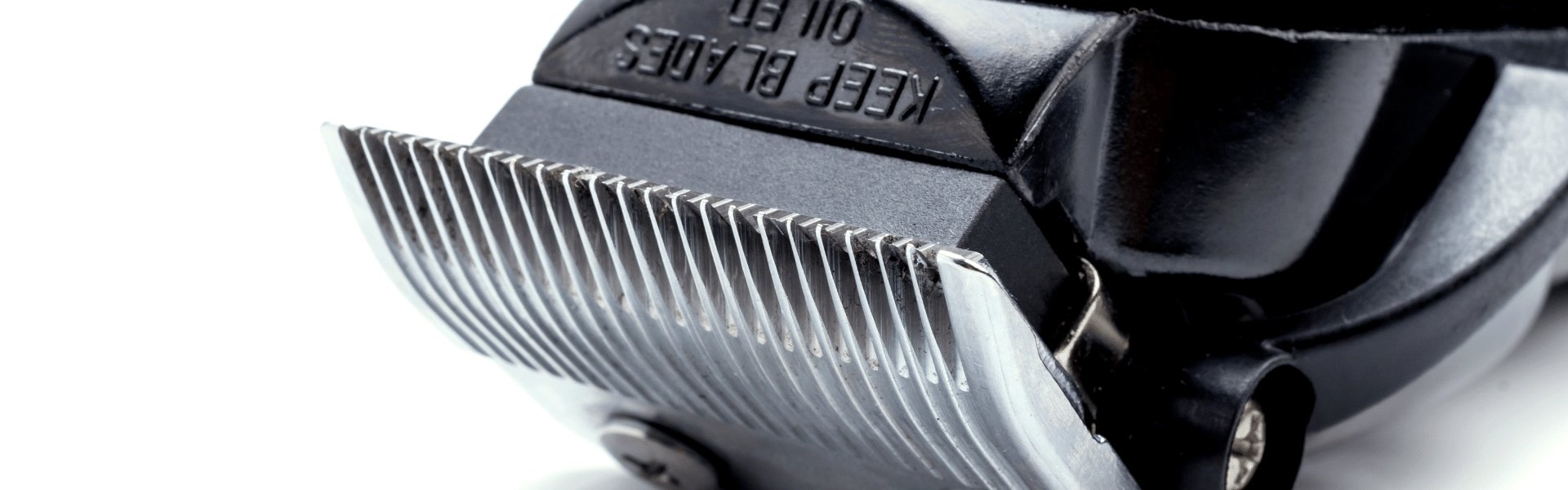 6 Quiet Dog Clippers for Dog Grooming — DogCare Online Store