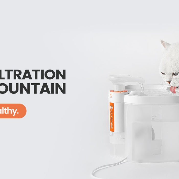 Are Water Fountains Good For Cats? - DogCare Online Store