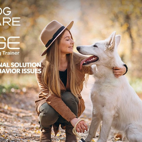Dogcare's Second-generation Bark Control Uses Advanced Patented Ultrasonic Booster Technology - DogCare Online Store