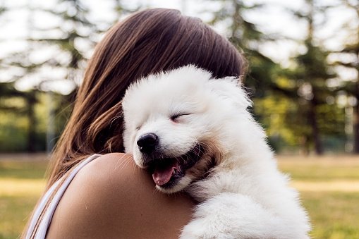 How to Say ‘I Love You’ to Your Dog？ - DogCare Online Store