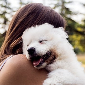 How to Say ‘I Love You’ to Your Dog？ - DogCare Online Store