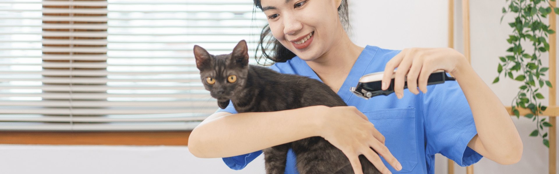 What clippers do most dog groomers use? — DogCare Online Store