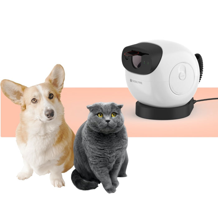Why we need Dog Cameras? - DogCare Online Store