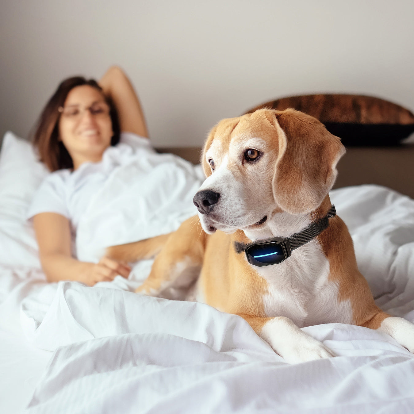 Bark Controller DogCare Online Store