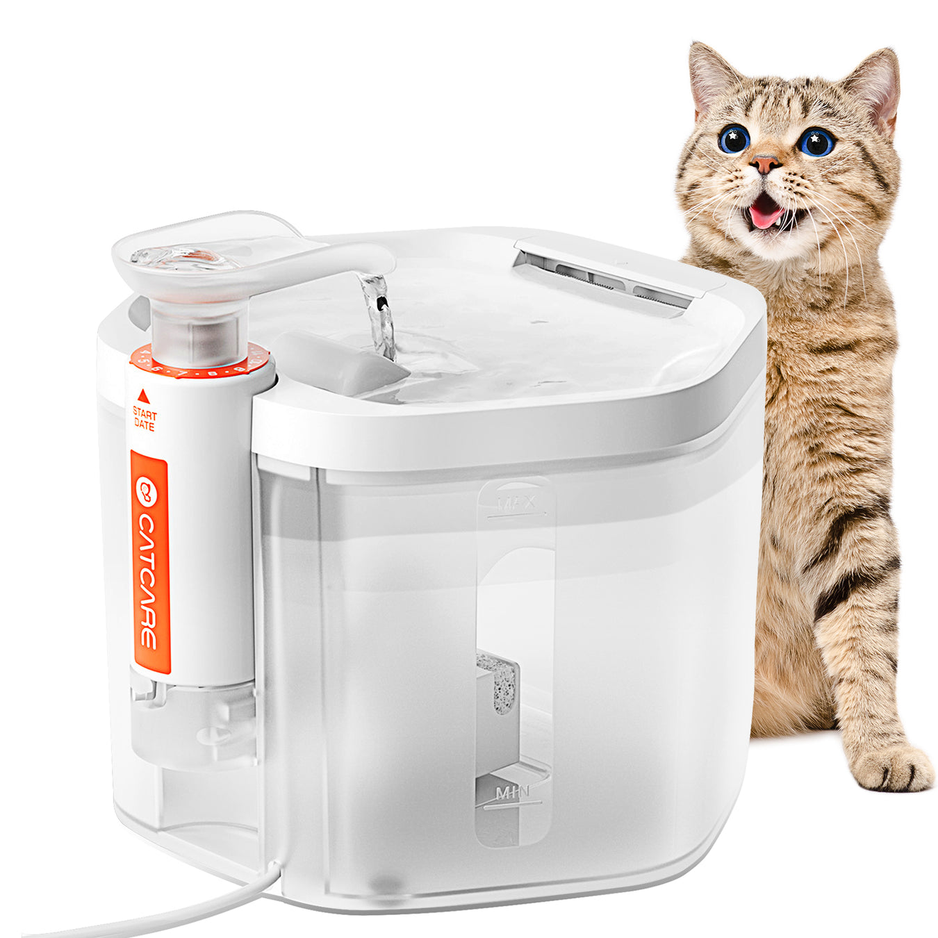 Dog Care cat water