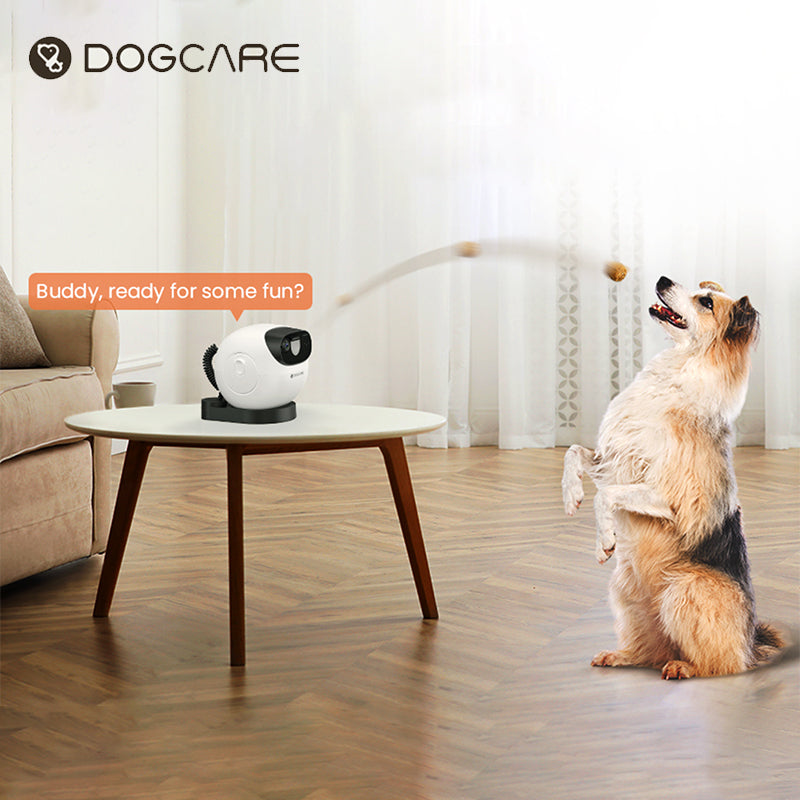 800-800 - DogCare Online Store