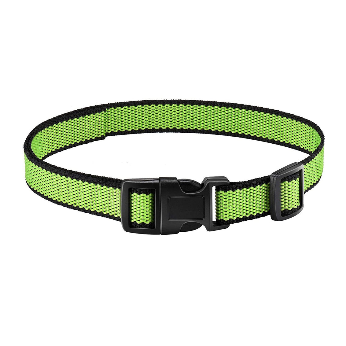 Top Paw Buckle Prong Training Dog Collar, Size: Small | PetSmart