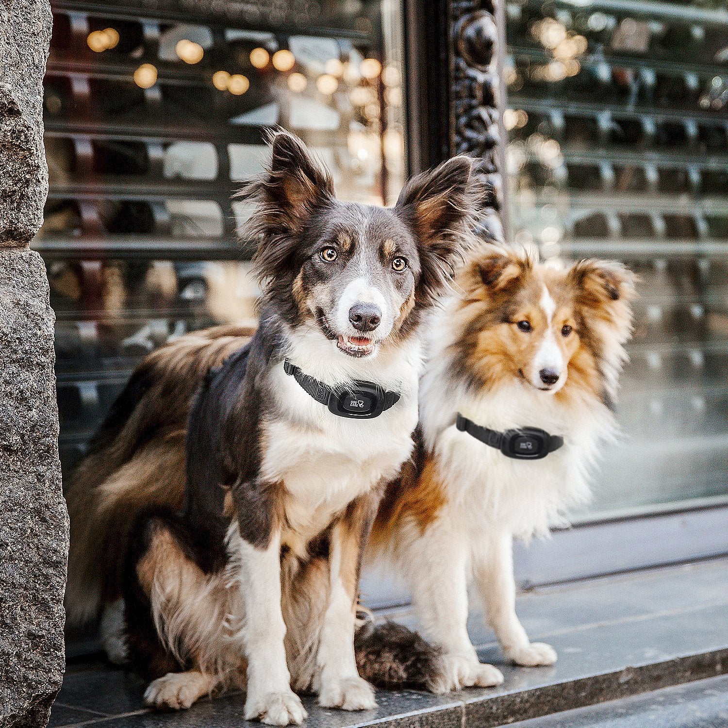 Lite Dog Training E-Collar - DogCare Online Store