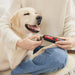 DogCare Dog Nail Grinder - DogCare Online Store