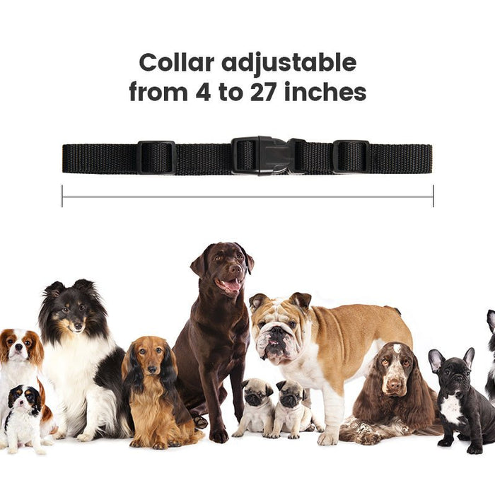 Standard Dog Training Collar Receiver - DogCare Online Store