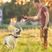 Standard Dog Training E-Collar - DogCare Online Store
